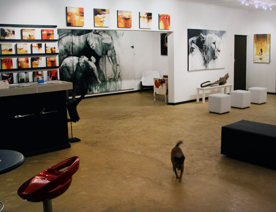 Visit the Pharoah gallery in Wilderness